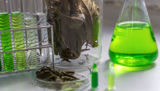 Kratom in the UK tweet media