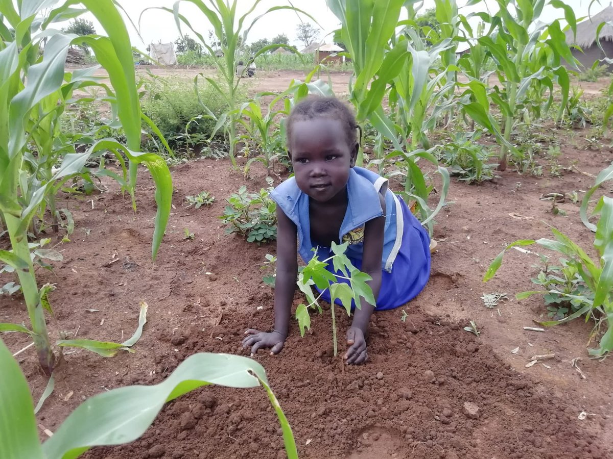 NzuriDaima's tweet photo. El futuro🌍🌳👧🏾🧒👶🏿👶🏼
Seguimos con el reparto de árboles y tenemos un reto: 2.400 nuevos balones de oxígeno!
Te unes?
👉https://t.co/rX20pHQjti
Y la sonrisa que ves en la foto será el mayor de los agradecimientos 😍
#TreeRevolution #TeTiendoLaMano #Naturaleza #NzuriDaima #Future https://t.co/kkLZeQ755k