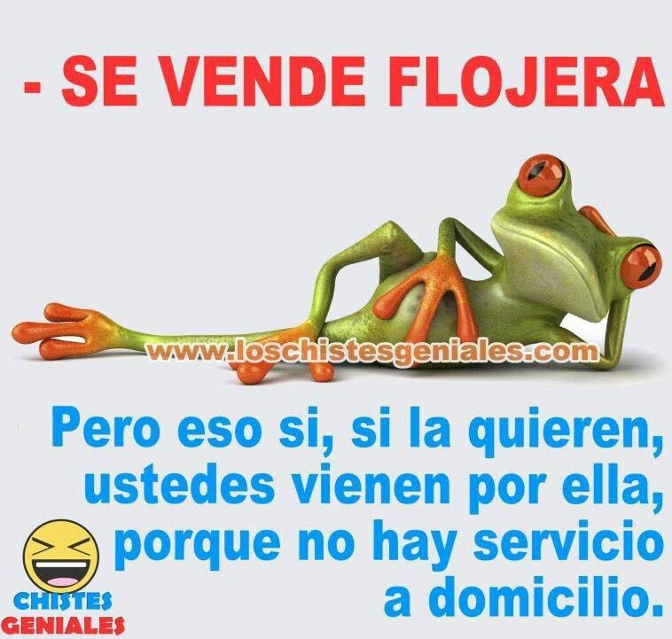 mon_mili's tweet photo. Buenos dias 😂😂😂 @aliciarodpuyol @herreria_ana @MariLasso2 @Maria_dolores69 @auroruj @albacoza @as2bea  @manuysusi24  @lovecabesa @muuyfaan  @MJRicoOK @juliavipa42 @oda1407 @iriana1982 @SiempreMyS @antoniamaartos https://t.co/uaqlBx9rQ0