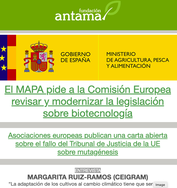 fundacionantama's tweet photo. 📰📬 ¡Ya tenéis disponible el boletín de noticias del mes de mayo! 📲👉https://t.co/9JCKoYsYyd #agricultura #alimentación #sostenibilidad #transgénicos #CRISPR #seguridad #medioambiente #ciencia https://t.co/oymACObWxB