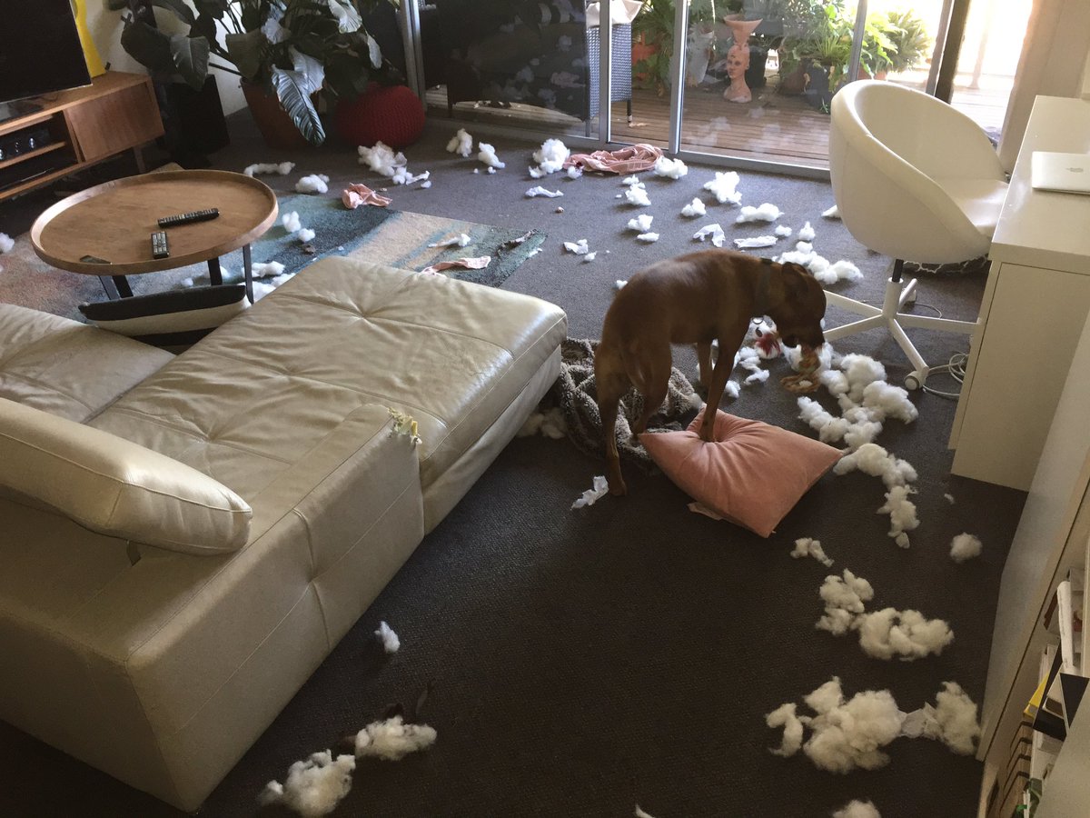 When you regret trying everything on the pillow menu