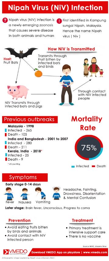 Gircor, recherche animale et alternatives tweet media