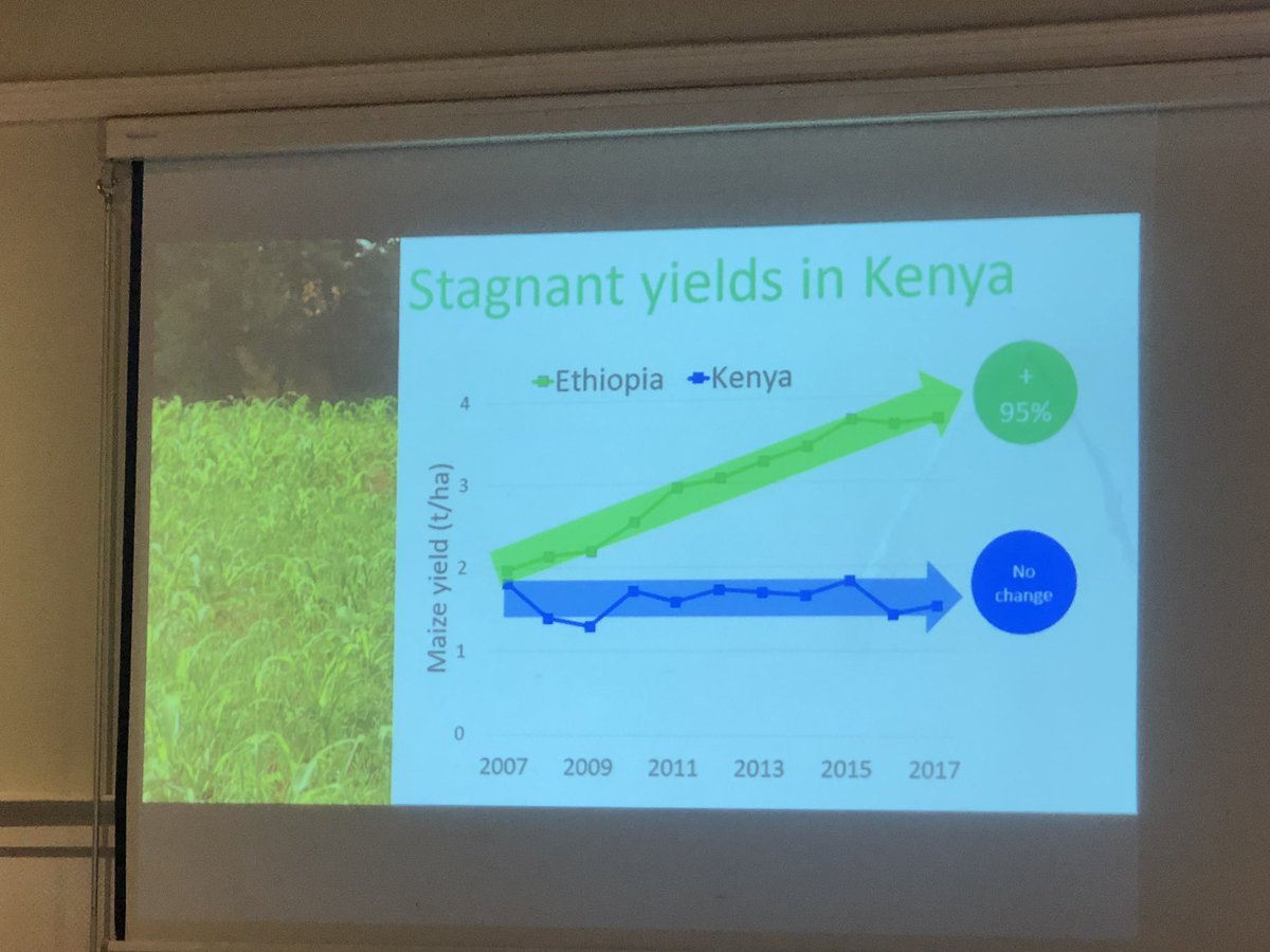 ImmaculateMaina's tweet photo. Dr. Shamie Zingore @PlantNutrition talks about #SustainableFertilizerUse and #BestManagement #4RNutrientStewardship #RightSource #RightRate #RightPlace #RightTime @AGRAAlliance @HamadiIddiBoga @NakuruCountyGov https://t.co/BEQSkPpUag
