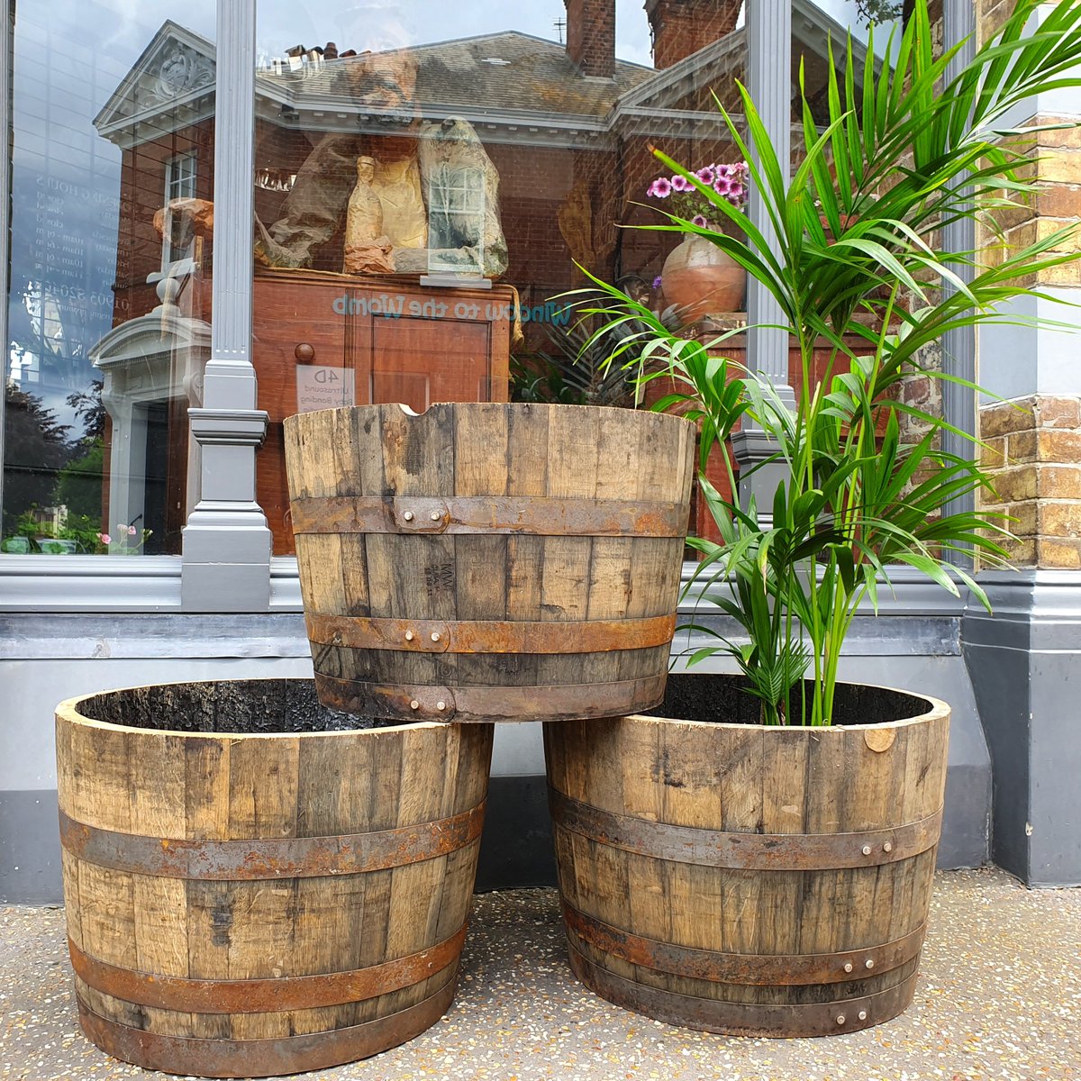 ReginaldBallum's tweet photo. look at these beauties - aged oak half whiskey barrels. Perfect planters for the rustic garden or great converted into tables - hey @The Whiskey Rooms ?
#decorativeabtiques #rusticplanters #whiskeybarrel #rusticstyle #vintageshop #worthing https://t.co/hsb2xM8cDE