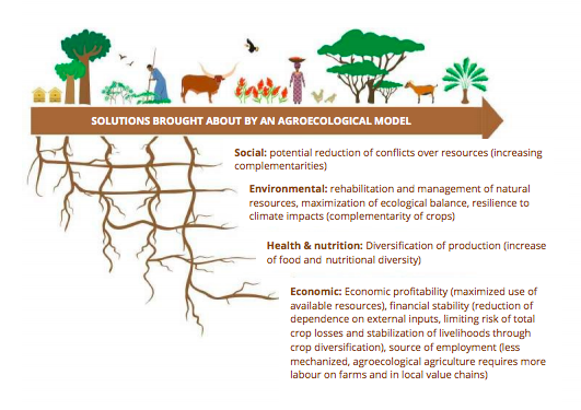 IPESfood's tweet photo. #Agroecology presents a holistic response to the majority of agricultural challenges in West Africa, and contributes to the realization of the Right to Food by providing a new basis to develop healthy and sustainable food systems. 

Read more: https://t.co/wZAtdQOx2b https://t.co/5UkV3ydpAP