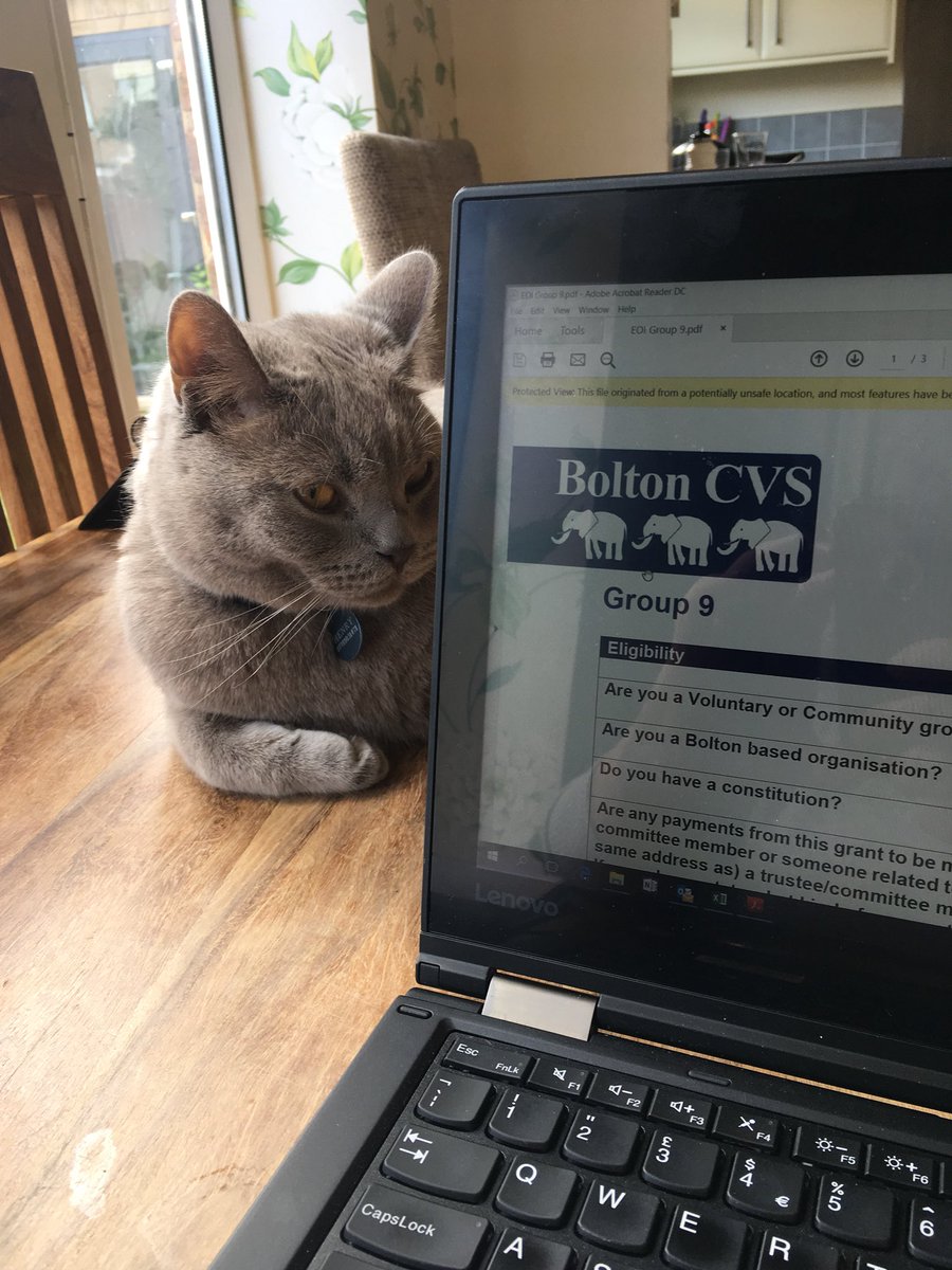Shortlisting applications for the Local pilot with my furry friend today 

#getBoltonmoving 
#LocalDeliveryPilot 
@BoltonCVS 
@PHBolton1 
@Sport_England 
@OfficialBWCT 
@GmMoving