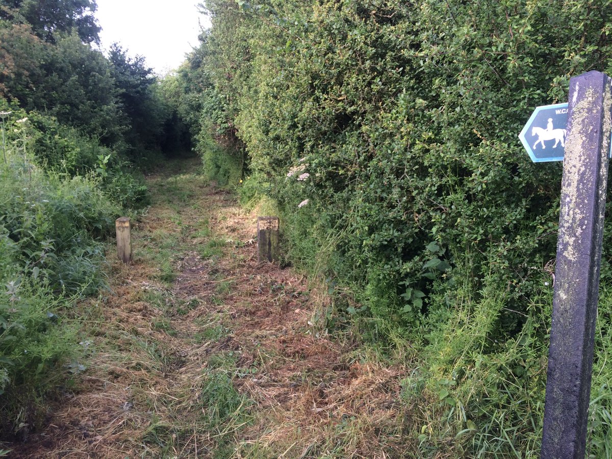 dbgoody's tweet photo. Lovely walk to work this morning, long wet silage grass refreshes the legs! #BigPledge #getoutside #MondayMotivation #30DaysWild #DAY3 https://t.co/bKQ7XLUdKu