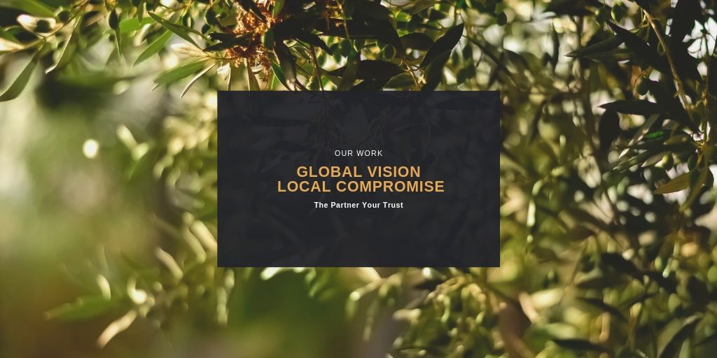 Belser_Group's tweet photo. Your partner in agricultural wealth creation. #agriculture #investment #oliveoil #Agricultural #agritech #agribusiness #permanent #landcrops https://t.co/Edfcdk6H3s