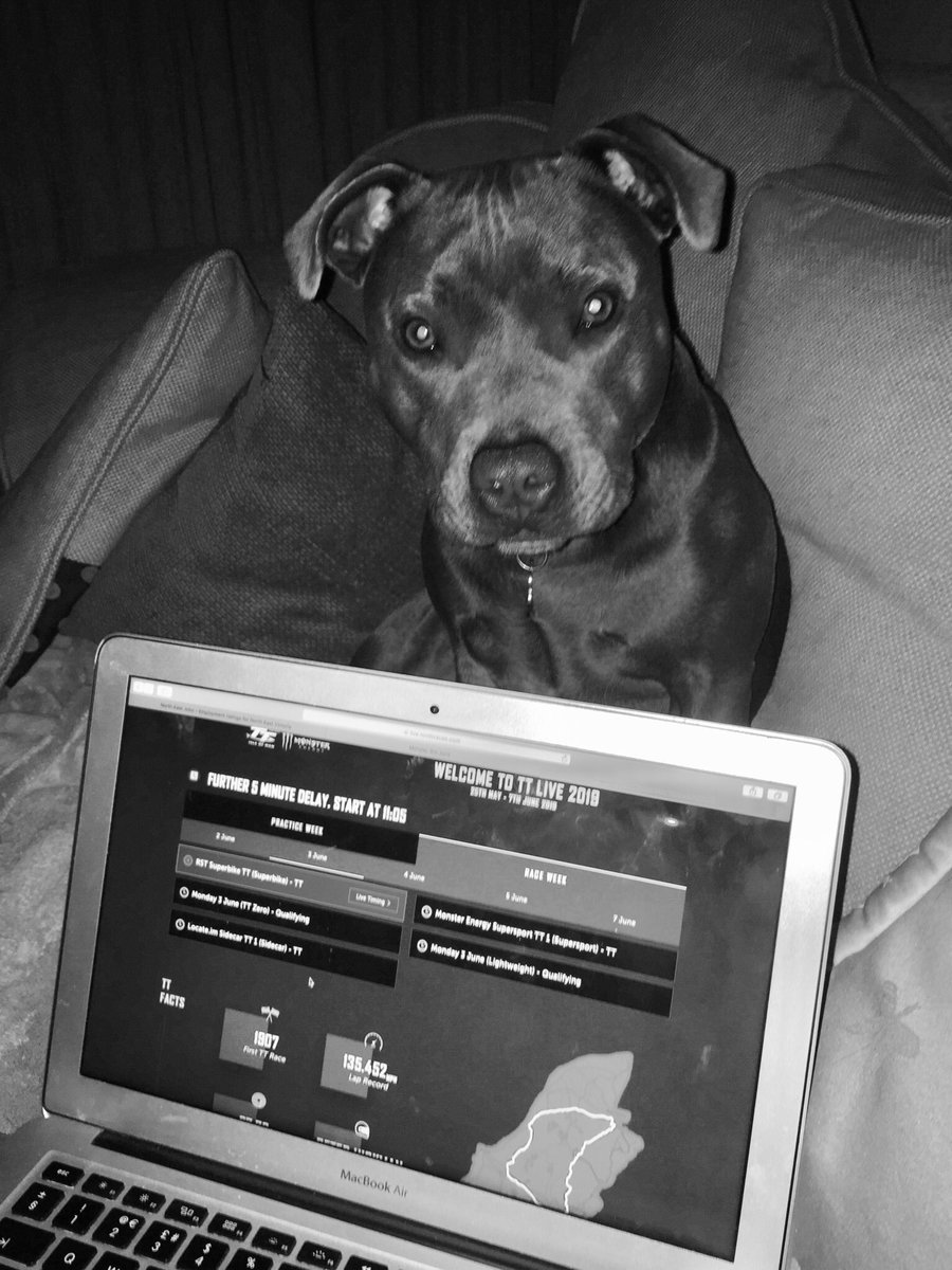 jilly_model's tweet image. DorisDay waiting for #TT2019 good luck to all.