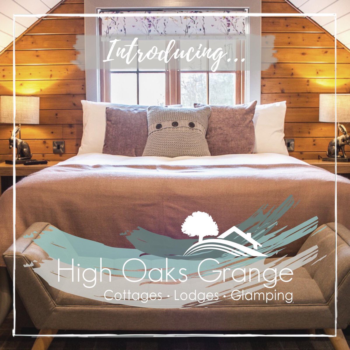 Beki@RobinHood tweet media