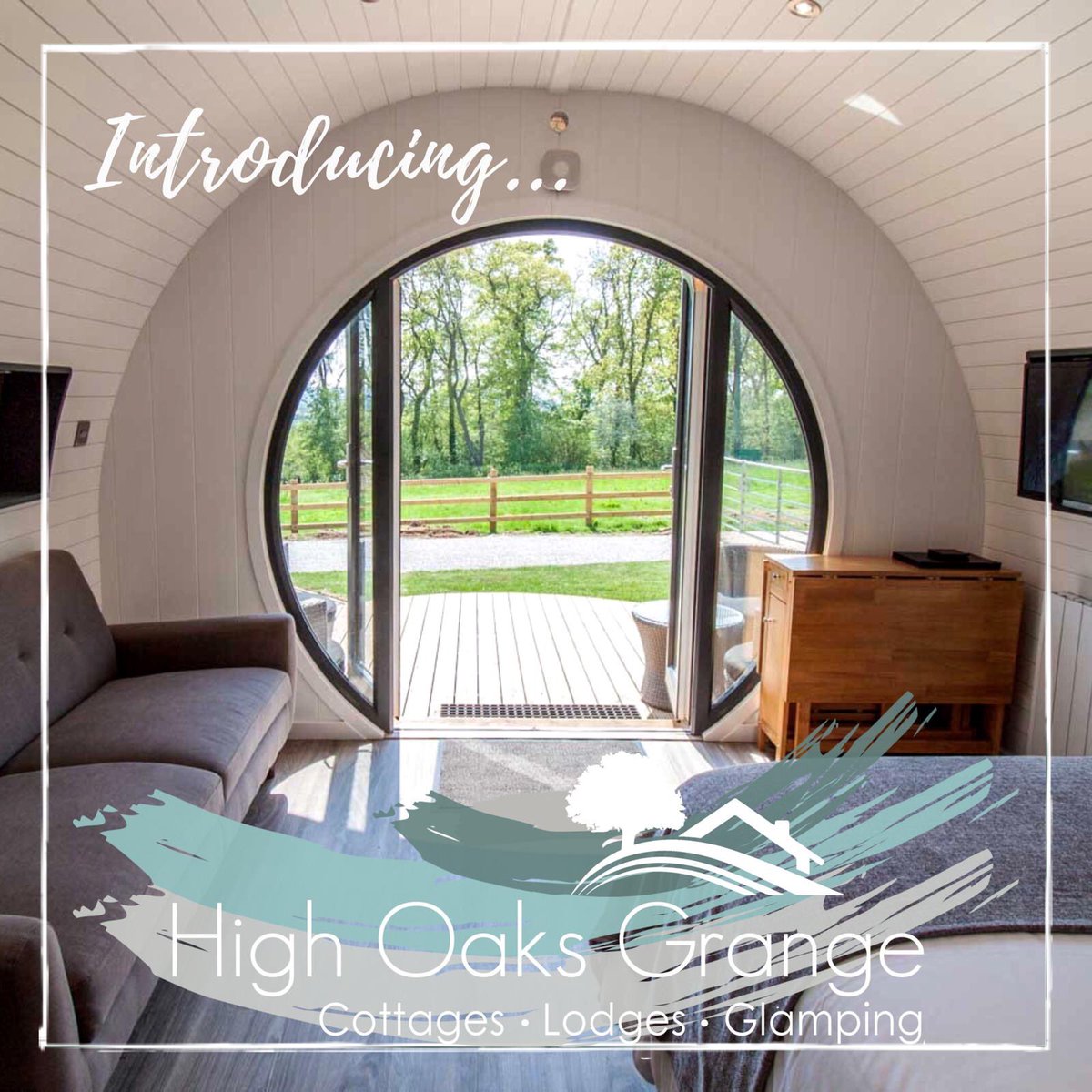 Beki@RobinHood tweet media