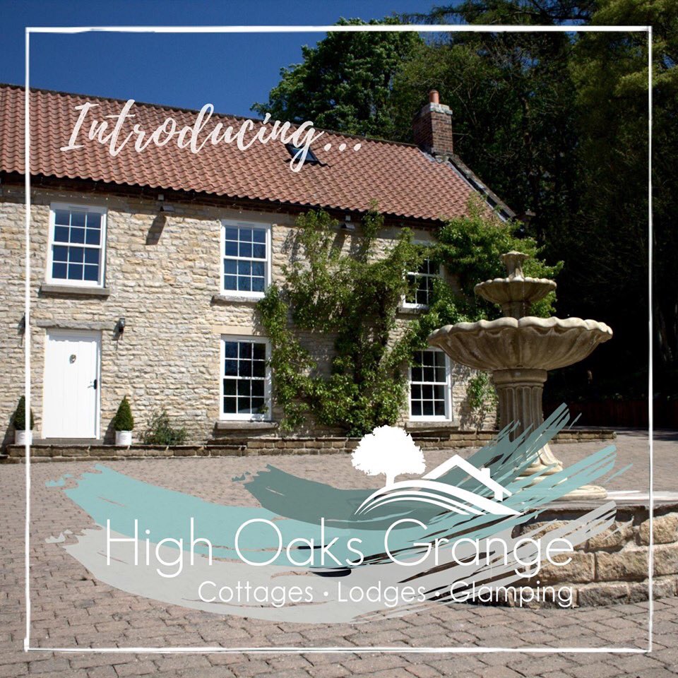 Beki@RobinHood tweet media