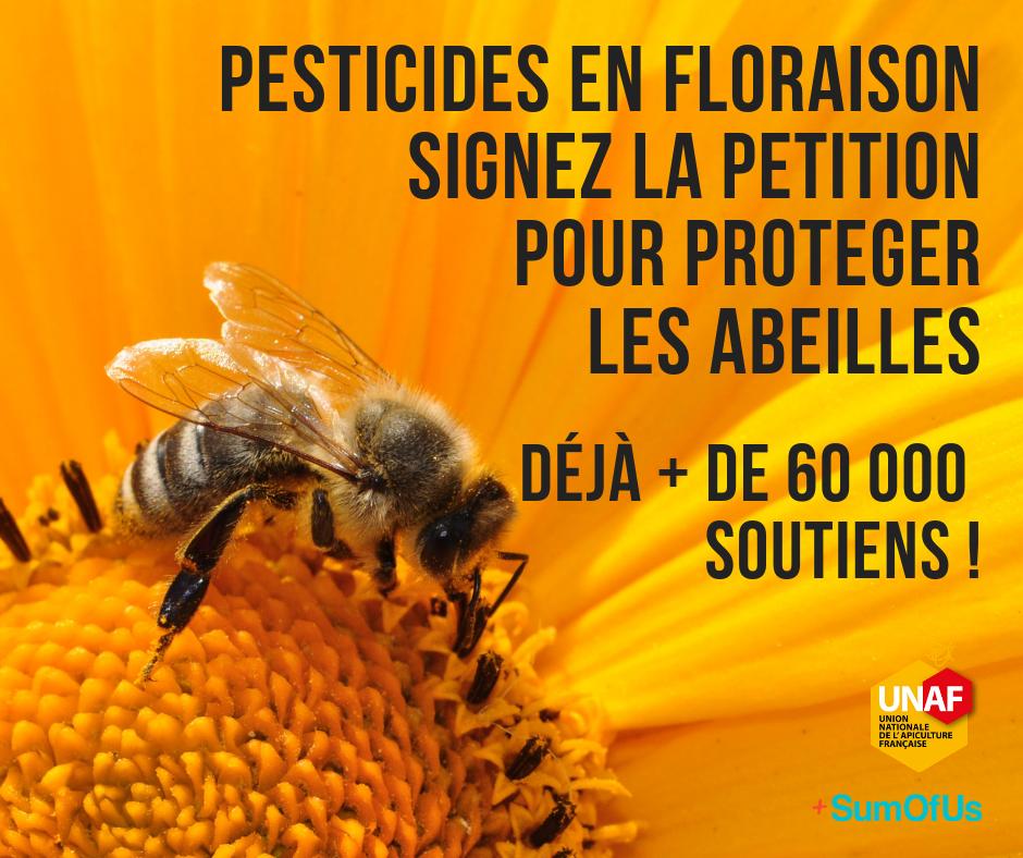UNAFapiculture's tweet photo. 💦🐝🌻 [PÉTITION] Déjà + de 60 000 personnes ont signé la pétition pour une réelle protection des #abeilles contre les #pesticides en floraison ! Si ce n'est pas déjà fait, SIGNEZ ICI 👉 https://t.co/ceTqpKfmy5 #ArrêtéAbeilles @SumOfUs_Fr @dguillaume26 @FdeRugy https://t.co/o7ILHZjYjE