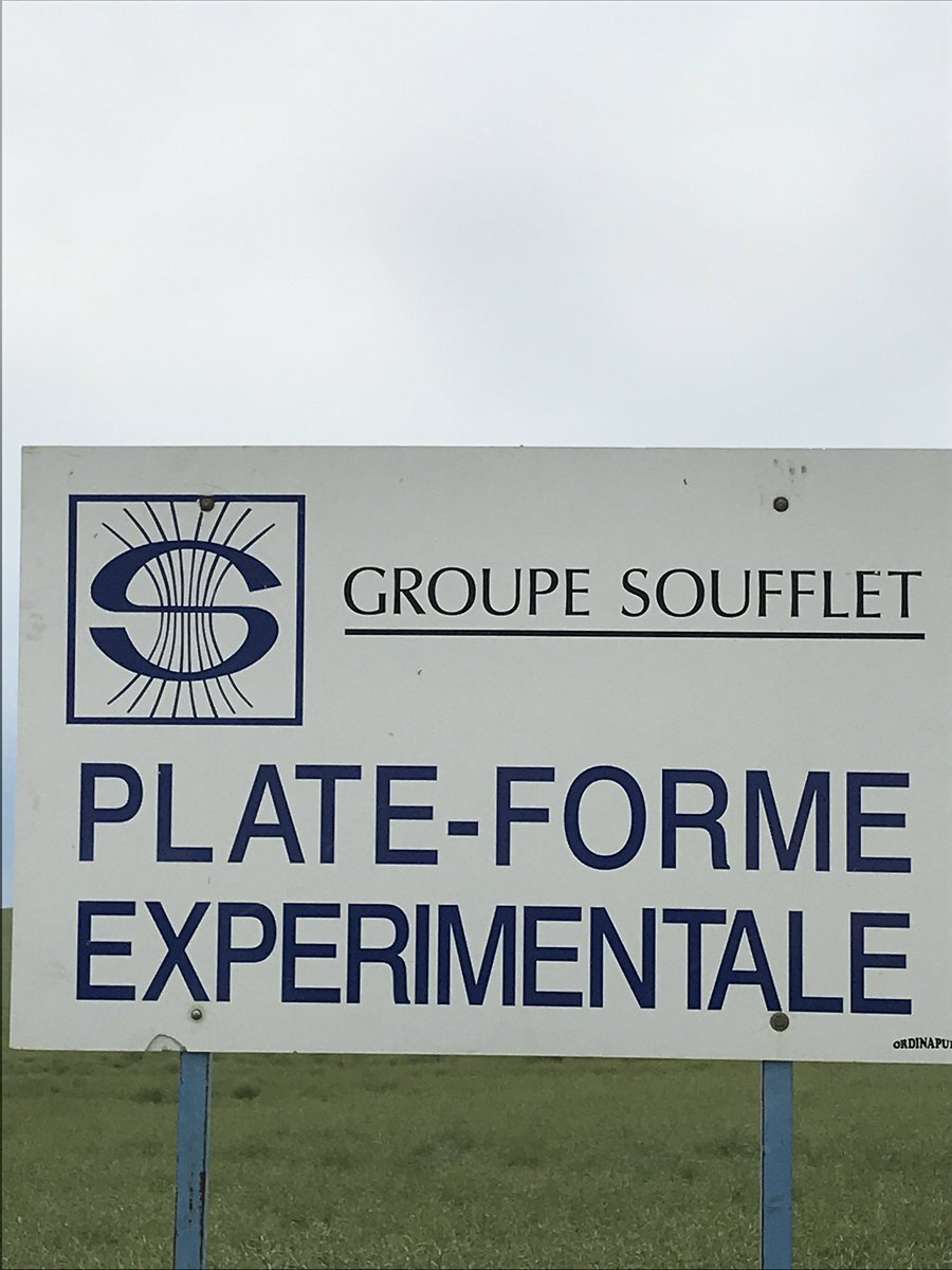 OlivierCOSTE2's tweet photo. Préparation, pour une grande première,de la plate-forme #bio du service #SACI @GroupeSoufflet cet après-midi à #Lezinnes #Yonne blés #orgesbrassicoles .l’incontournable  présentation des outils de #désherbages  mécanique #bineuse #ecimeuse #herseetrille #charruedechaumeuse... https://t.co/wF9Iq9yWmP