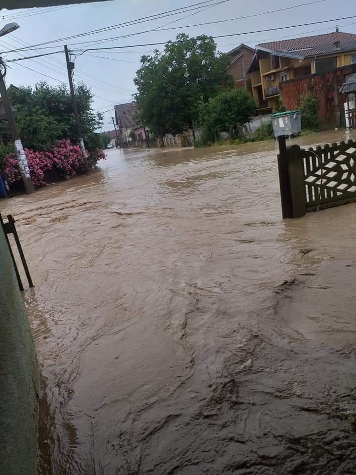 MiikiAleksic's tweet photo. Ovako danas izgleda Srbija... 

Za štetočinsku vlast su preče gondole, fontane, stadioni, jarboli... od kanala, nasipa i pročišćavanja rečnih korita.

Prošlo je 5 god. od razornih poplava 2014. ništa niste uradili na preventivi. 
Samo laži i propaganda.

Sram vas bilo @avucic https://t.co/yW7txBd1kV