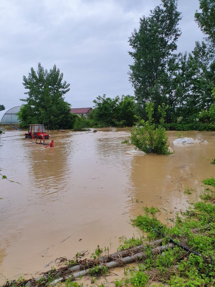 MiikiAleksic's tweet photo. Ovako danas izgleda Srbija... 

Za štetočinsku vlast su preče gondole, fontane, stadioni, jarboli... od kanala, nasipa i pročišćavanja rečnih korita.

Prošlo je 5 god. od razornih poplava 2014. ništa niste uradili na preventivi. 
Samo laži i propaganda.

Sram vas bilo @avucic https://t.co/yW7txBd1kV