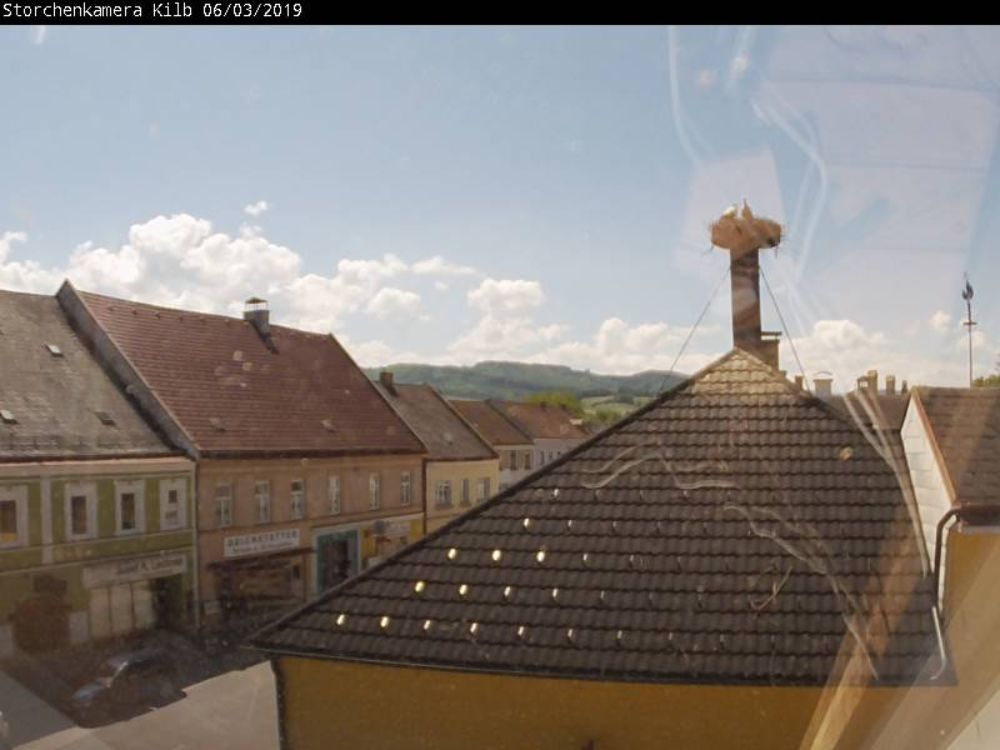 WStorkWatching's tweet photo. Screenshots of some #Austrian storkcams at noon today. These and the rest of the live-streams are available on the #WSWmap: https://t.co/CUinp6v4dY :: #Austria #Rust #Mürzhofen #Rosegg #Kilb #WhiteStorks #stork #webcam #WSWW2019 https://t.co/KTJkcOTYQ7