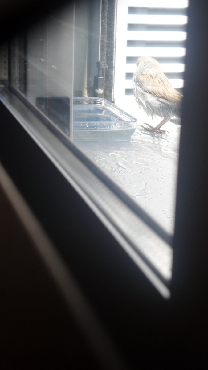 Vicky Díaz 🐦 tweet media