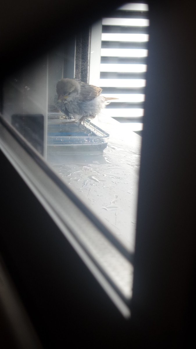 Vicky Díaz 🐦 tweet media