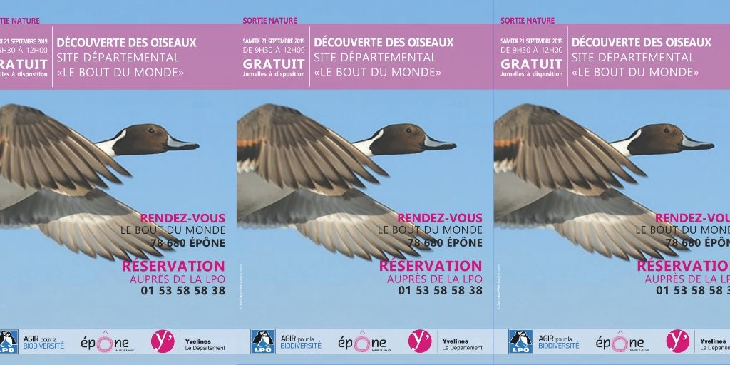 Le Samedi 21 septembre, le Site Départemental du Bout du Monde vous attend pour partir à la découverte des oiseaux, jumelles à la main ! 🦆🦅

> bit.ly/2XtoNPK

#Yvelines #Epone #BoutduMonde #SortieNature #observation #oiseaux