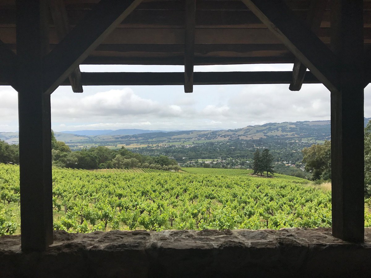 10 of the best New Wave California wines you need on your radar. It's one of the most exciting regions in the world right now – a real wine revolution. So how come? And which are the hottest wines you just have to lay your hands on? Click here the-buyer.net/tasting/wine/b…