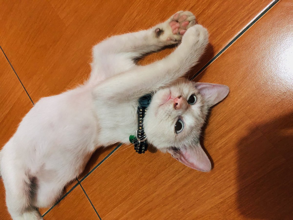 Everyone is missing her already. Can we just skip to Sunday now??????!!!!!!