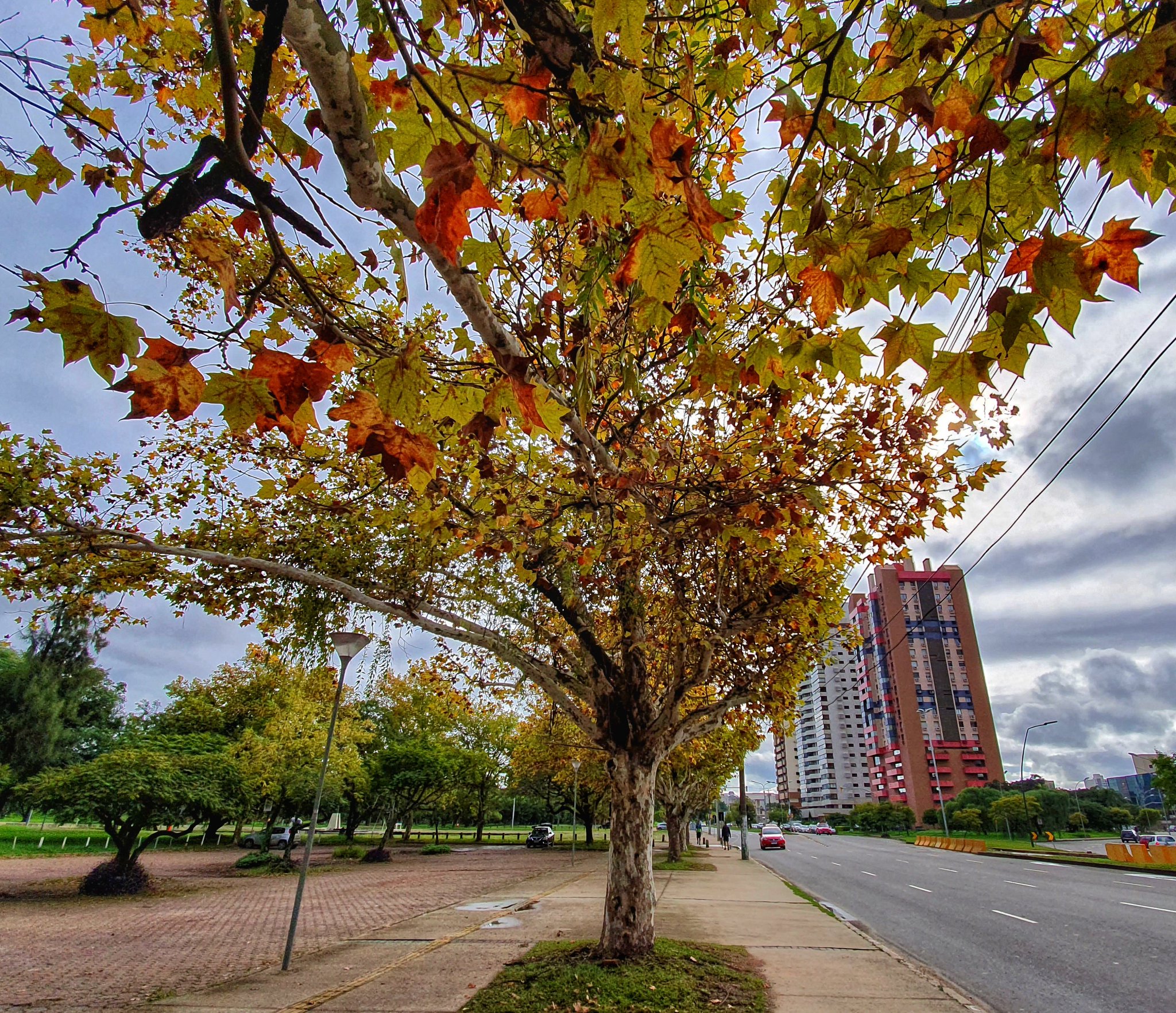 D8IZpL3XsAACTVI.jpg:large