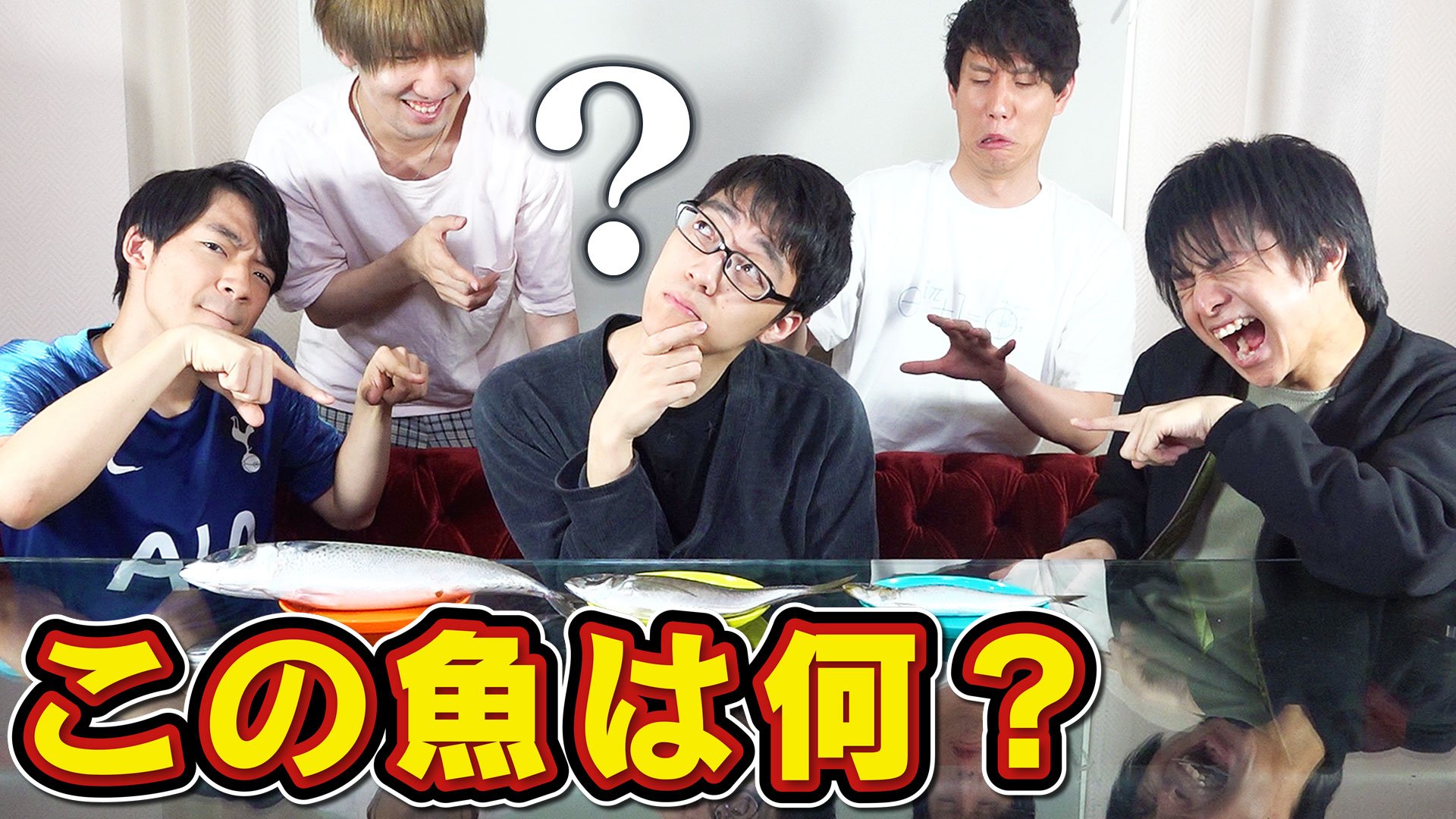 Quizknock クイズノック 新着動画 魚好き ふくらp サバとアジとイワシの違いならわかる説 高学歴なら魚の違いはすぐわかるはず 魚を当てるクイズの合間にあふれる魚知識は必見 かも 動画はこちら T Co Sxuqefg3et T Co