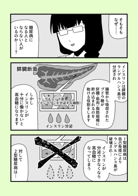 【まあ、自分 糖尿病なんっすわ】21

糖尿病は生活習慣が悪い人がなるってイメージあるけど、１型に関しては自己免疫による機能不全だから全然関係ないし、２型も生まれつきのインスリン分泌不足で普通に生活しててもなる人がいるよって事をお… 