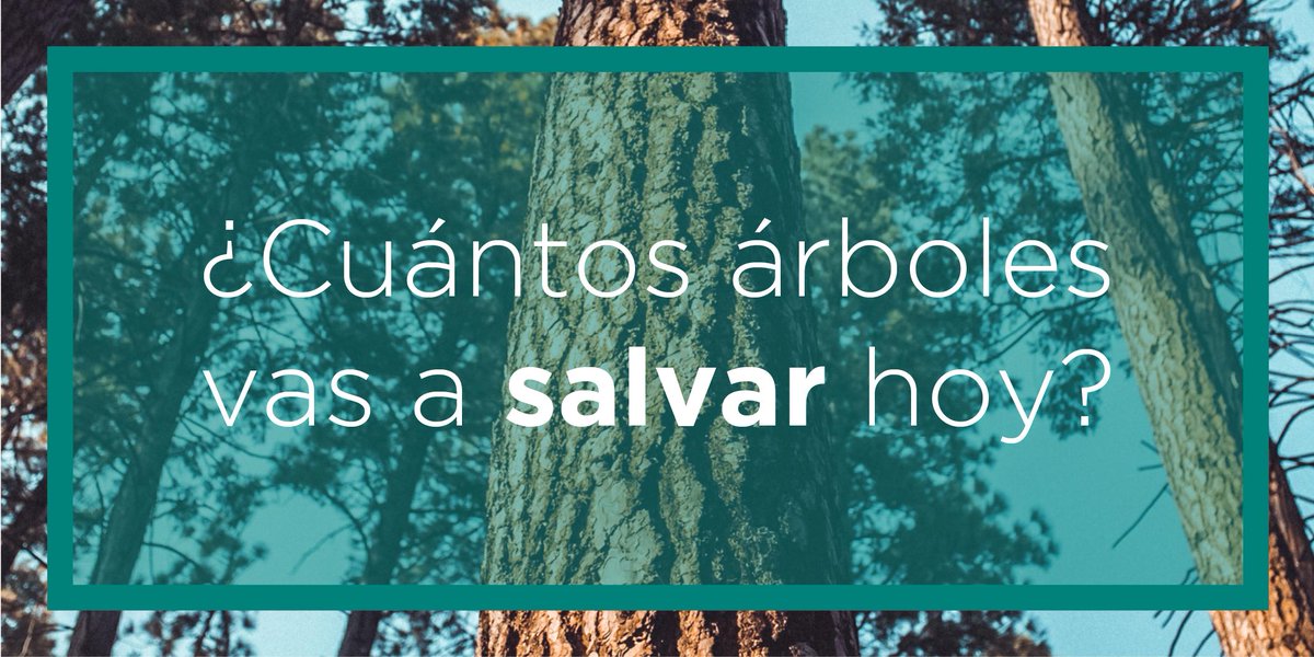 TreeBoxDC's tweet photo. La correcta destrucción de documentos confidenciales no solo es obligatorio, si no que además estás ayudando a preservar el medio ambiente. ¿Empezamos?  https://t.co/kgAMZAYtDe https://t.co/XXetDrFzwb