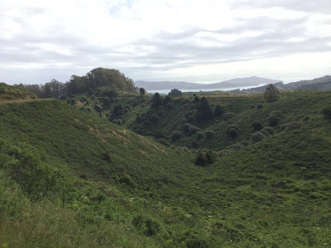 9 days ago, 13+ miles &amp; 2500' at the final May #SFRC #trailrun. May had many ups &amp; downs, emotionally<a href="/tag/run"class="tags"><span>#run</span></a><a href="/tag/trailrun"class="tags"><span>#trailrun</span></a><a href="/tag/sfrc"class="tags"><span>#sfrc</span></a>