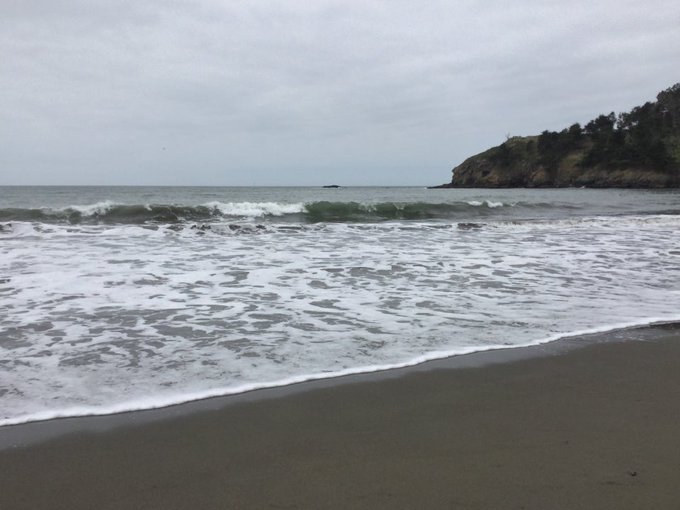 9 days ago, 13+ miles &amp; 2500' at the final May #SFRC #trailrun. May had many ups &amp; downs, emotionally<a href="/tag/run"class="tags"><span>#run</span></a><a href="/tag/trailrun"class="tags"><span>#trailrun</span></a><a href="/tag/sfrc"class="tags"><span>#sfrc</span></a>