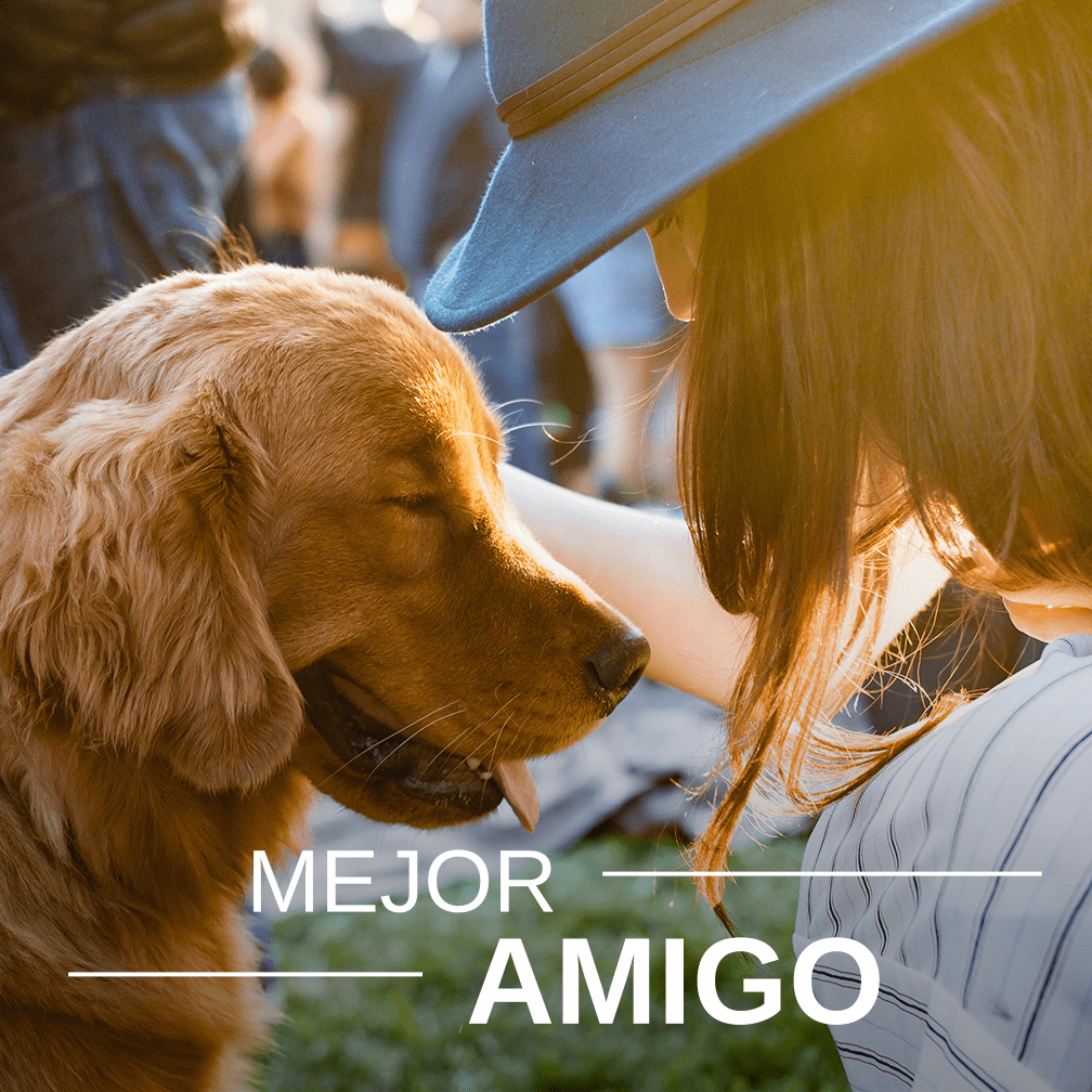 tiknervio's tweet photo. Buenos días corrillo. Los perros entienden cuando los humanos están tristes, así que tratan de mimarte para animarte. La mascotas son el mejor amigo del ser humano. 
¿Estás de acuerdo?
Comparte una foto de tu amigo. https://t.co/jeKc8DK7kL