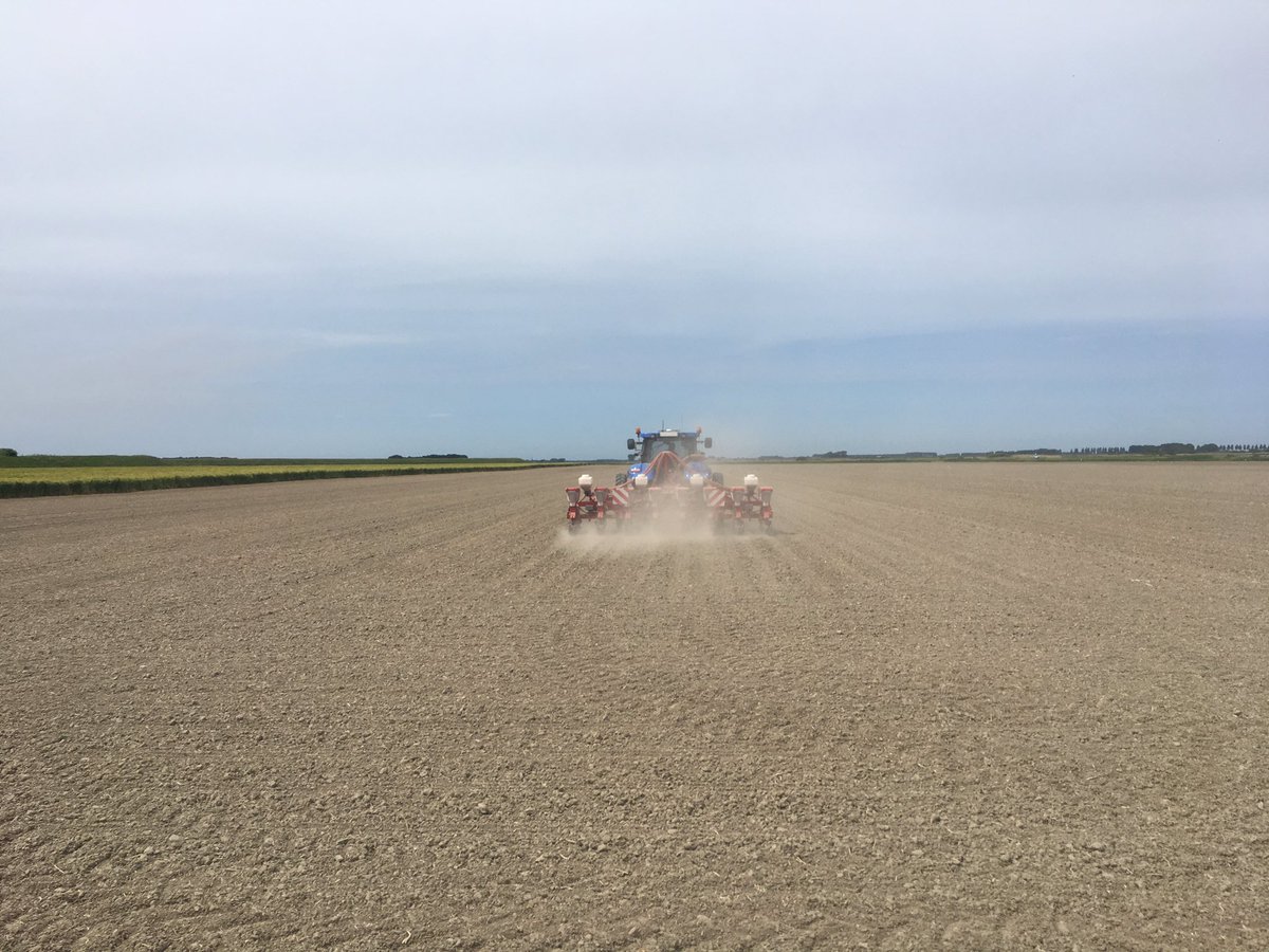 ZeeuwsZilt's tweet photo. Op de zilte grond wordt #nkg de zoete mais #farmpack gezaaid. @KvernelandGroup https://t.co/PQhH99gdns