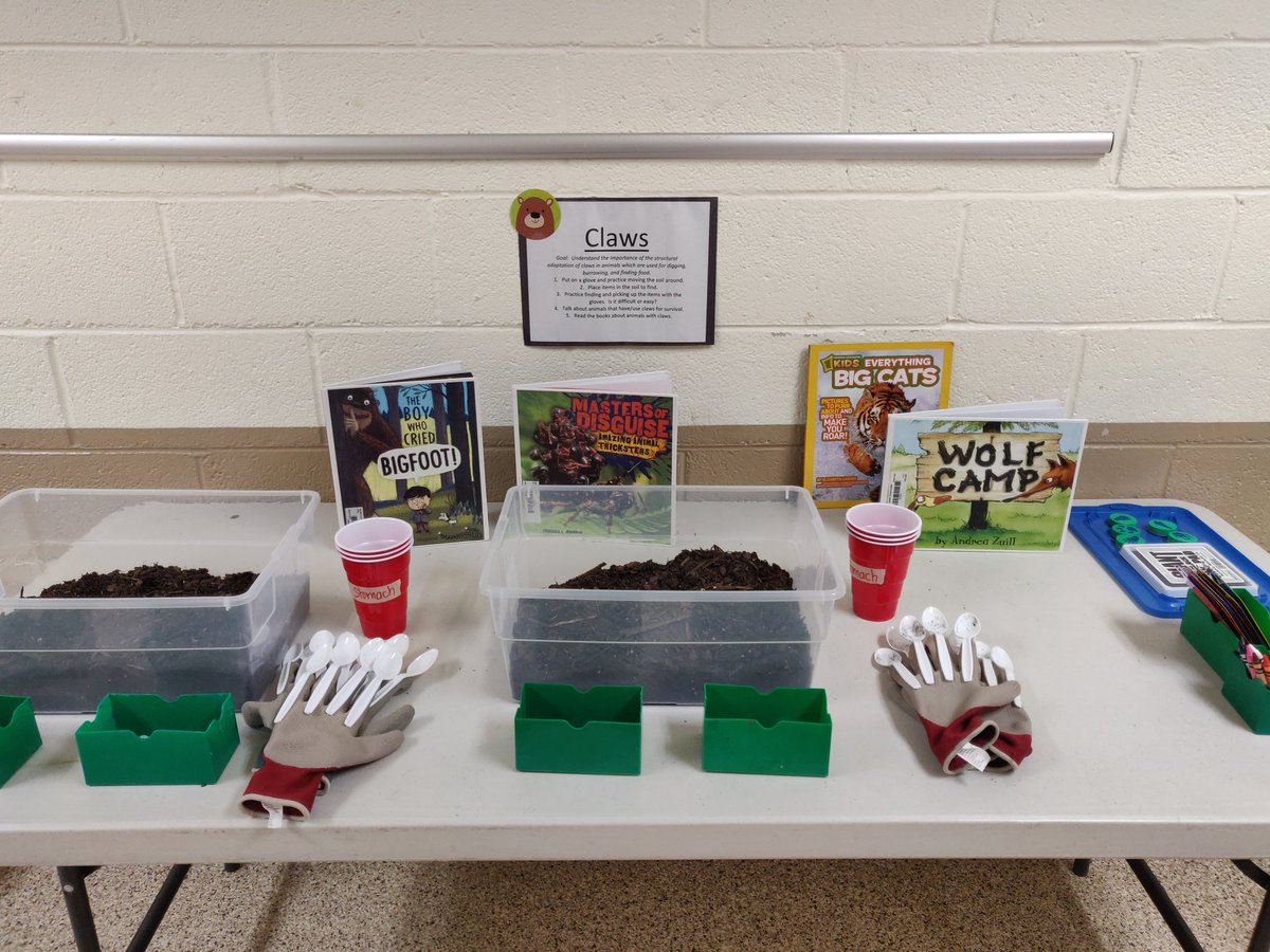 ArnoldMustangs's tweet photo. Stations, stations everywhere. Stations in the gym, stations in the hall, stations in the bleachers, students gonna have a ball!!!! #Read2BeReady @TNedu https://t.co/yf5A96NJe4