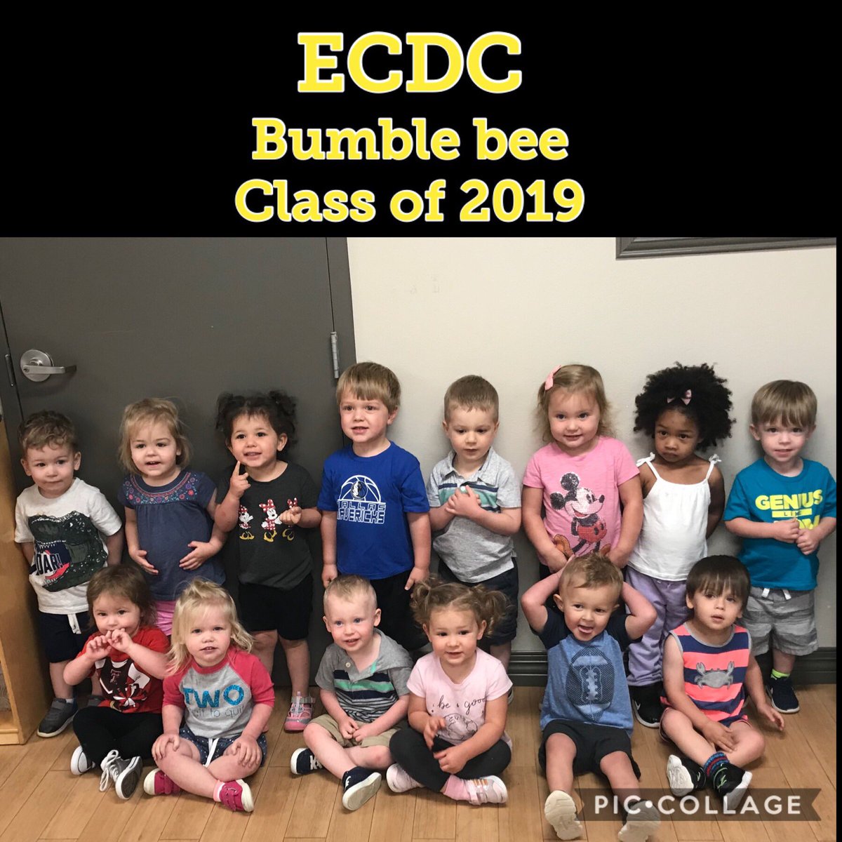 ECDC Bumble Bee tweet media