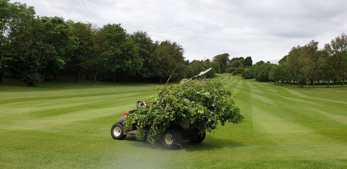 When you head out to cut some over hangs and you keep going should have brought the trailer. <a href="/WenvoeCastle_GC/">WenvoeCastleGolfClub</a>