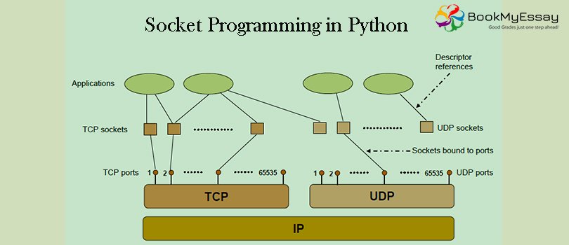 Book_My_Essay's tweet image. Detailed Information about Python Network Programming and Socket Programming in Python
Visit us: bit.ly/3109UXf
Email id: assignmenthelp@bookmyessay.com
#python #socketprogramming #assignmenthelp #BookMyEssay