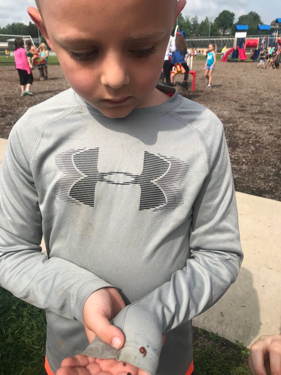 AJones1stgrade's tweet photo. Kane and his Ladybug. https://t.co/ZCwOCsHdtk