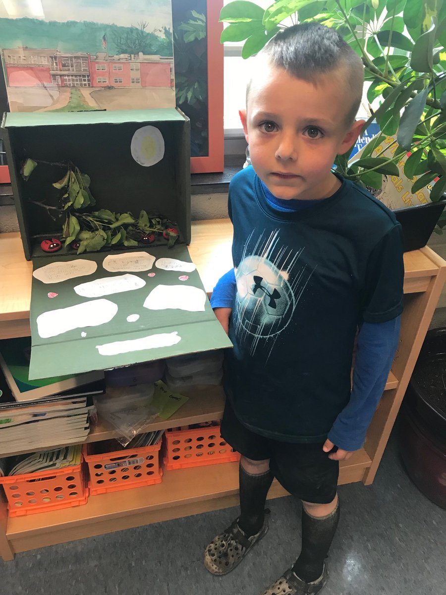 AJones1stgrade's tweet photo. Kane and his Ladybug diorama and Kane and a real Ladybug he found at recess! #ladybugs #dioramas #firstgrade #insects #research https://t.co/Gu83IdGayn