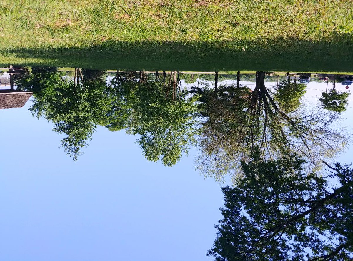 Featacrobatics's tweet photo. The world just looks better from this angle 🙃. Don't you think?

#upsidedown #thegreatoutdoors #sunshine #acrointhepark #acroplayoutside https://t.co/nwIyF53wa1