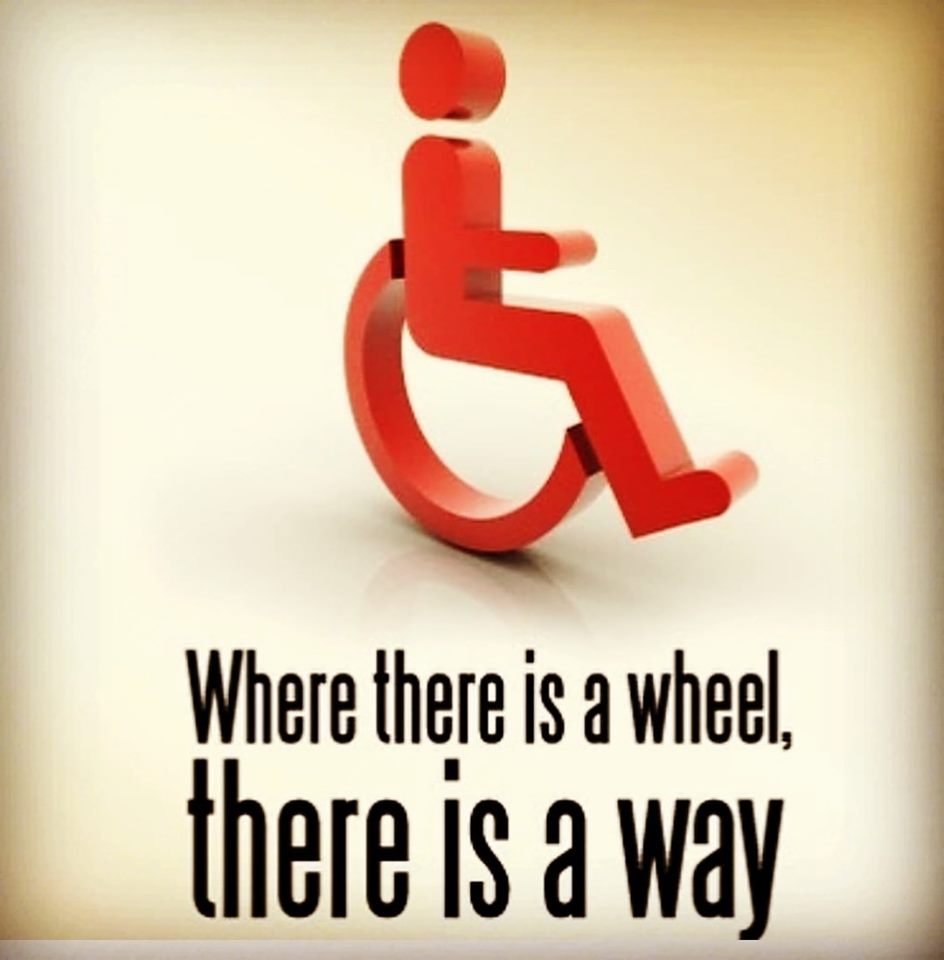 LovingTouchTran's tweet photo. https://t.co/Wlind31OFW