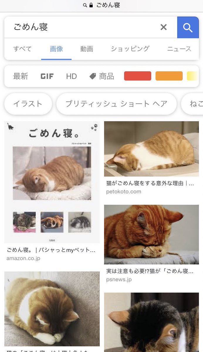 Ellie A の画像 動画一覧 Whotwi グラフィカルtwitter分析 Ellie A の画像 動画一覧 Whotwi グラフィカルtwitter分析