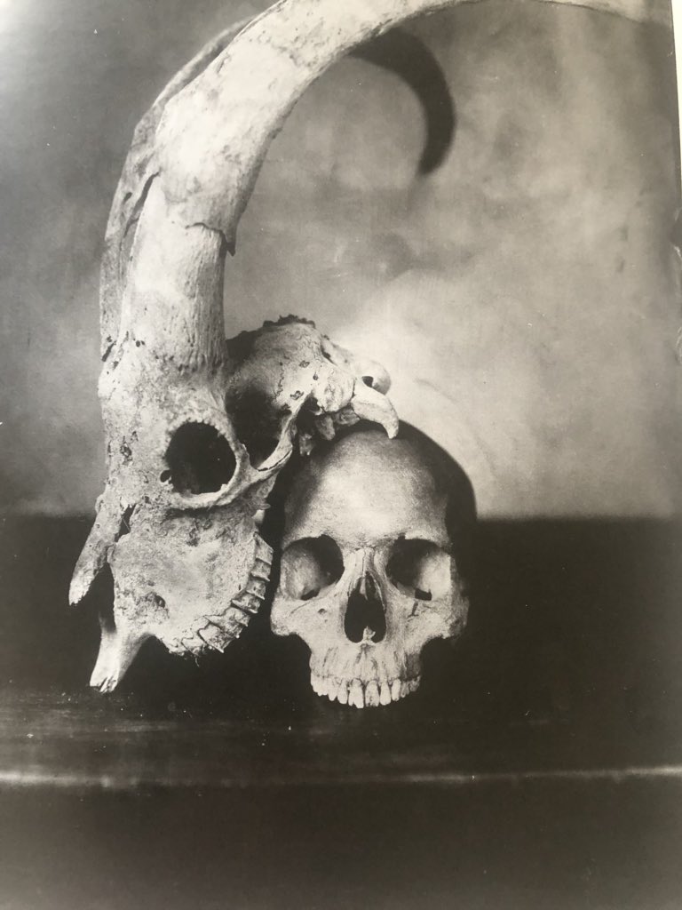 RosanneMathot's tweet photo. #vanités : « On n’est pas ensemble. Mais c’est pour toujours ». #photo : #jeanBaptisteSenegas . Texte : #rosanneMathot . In : #lesHommesEtLesBetes #photographie #ambrotype #beauxLivres #chambreNoire #poesie cc @IvanOGodfroid https://t.co/bsTSQN2Io9