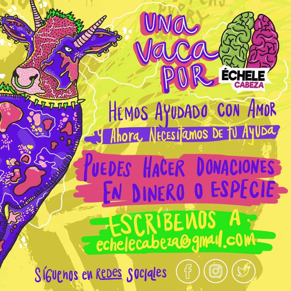 echelecabeza's tweet photo. Crowdfunding from 4 dollars to open point of attention of Échele Cabeza in Bogotá: information, #DrugsChecking, Attention, Naloxona, advice and conversation.  Support us and share. Donate here https://t.co/Fud8ZMVPtb @SteveTransform @HannahHetzer @MusicFanDPA @DIMSinfo @zarasnapp https://t.co/NWkSmFhwto
