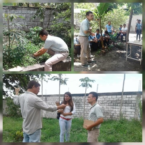 Siembra hasta Vencer!! Visita de acompañamiento de conucos escolares  y verificación de terreno para la nueva siembra🌱
@MPPEDUCACION 
<a href="/GobiernoYaracuy/">Gobierno de Yaracuy</a>