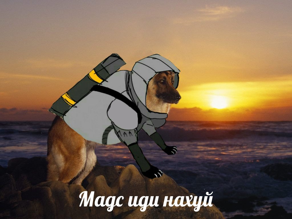 D8IzuGsXkAIjJIS?format=jpg&name=medium