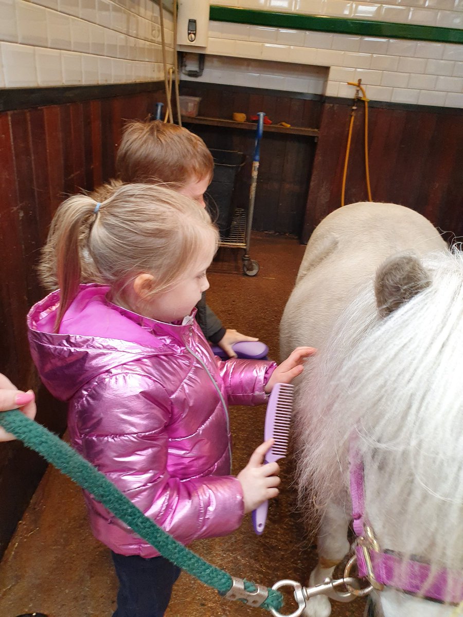 St_FrancisP23's tweet photo. Grooming the ponies 🐴 https://t.co/VrsouRyHfM