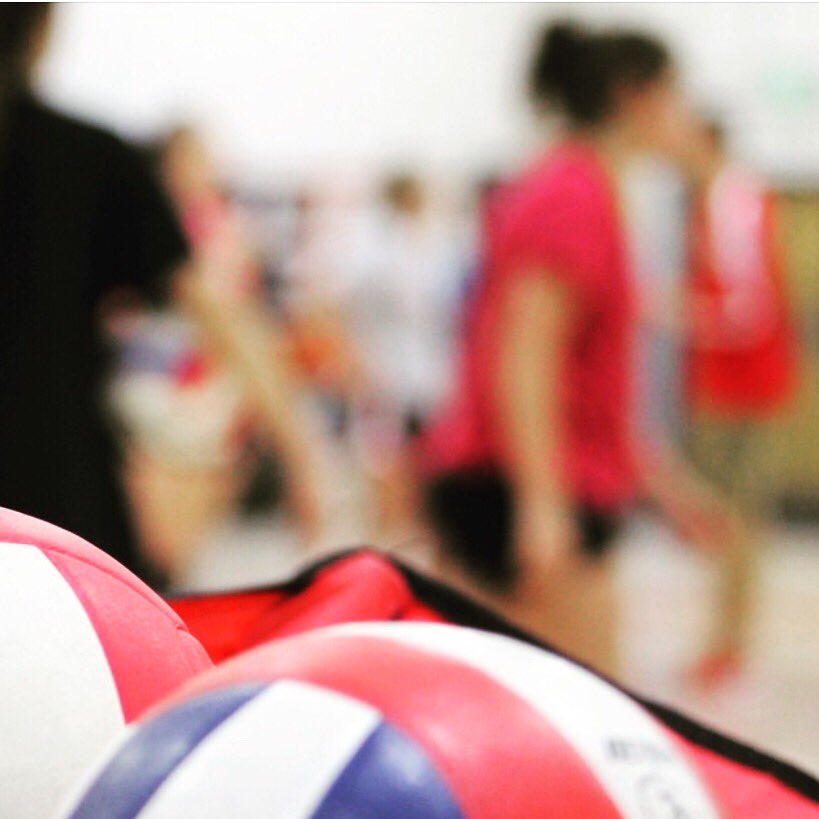 MrsLChase's tweet image. ❤️💙🏐 #SWVB