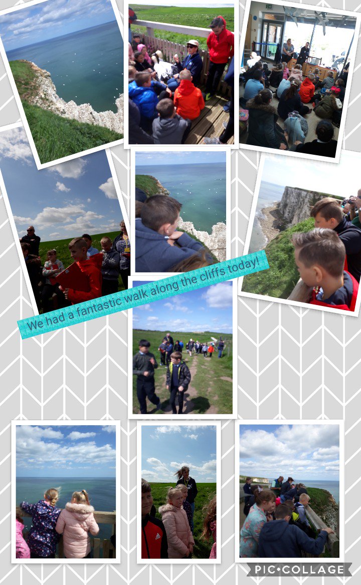 LonghillPrimary's tweet image. We loved seeing the different seabirds around the cliffs and learnt how erosion and weathering affects different types of rocks. #LPSHullGeography #RSPB_Learning